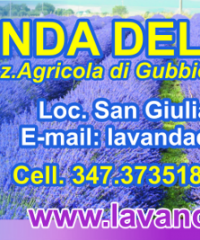 Lavanda della Tuscia Azienda Agricola Biologica di Gubbiotti Lucia